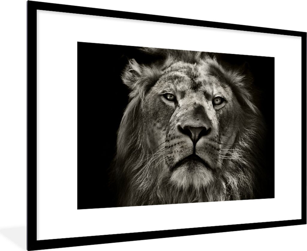 MuchoWow Gerahmtes Poster Löwe - Tiere - Porträt - Wildtiere - Schwarz und weiß 90x60 cm - Poster mit Schwarzem Bilderrahmen Wandposter Rahmen...
