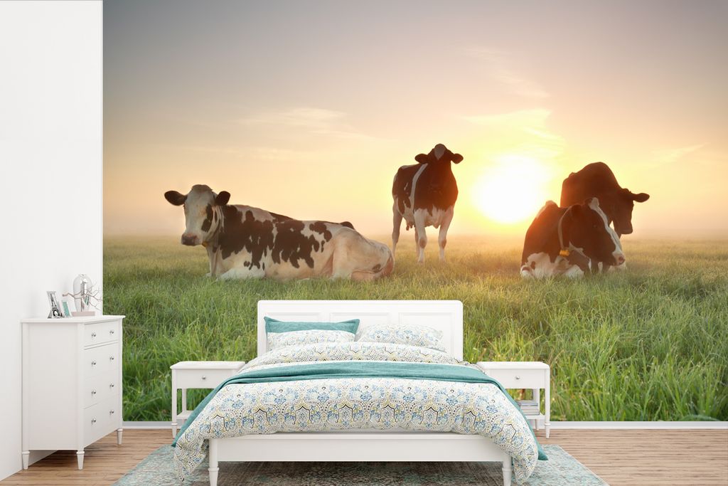 MuchoWow Fototapete für Wohnzimmer oder Schlafzimmer Wandtapete Vinyl Motivtapete Kuh - Sonne - Gras - 420x280 cm - Zimmer für Kinder