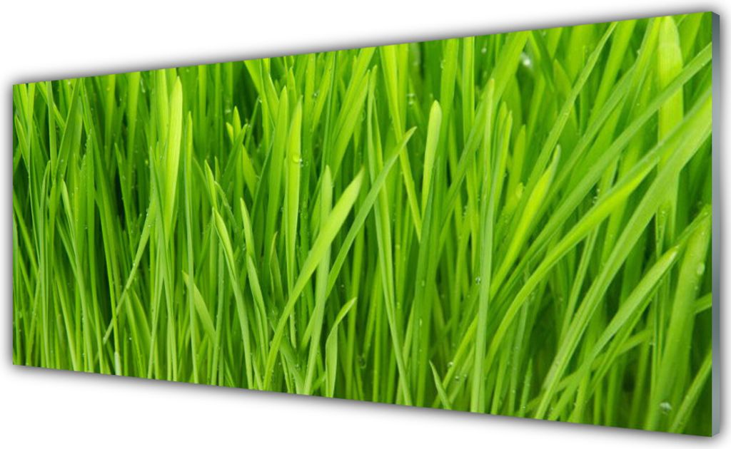 Glasbilder 125x50 Wandbild Druck auf Glas Gras Pflanzen