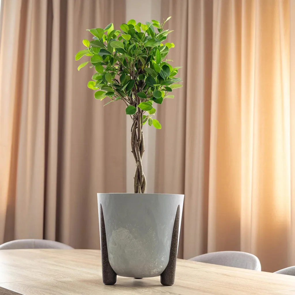 Pot de fleurs avec insert intérieur et pieds stables, finition gris M