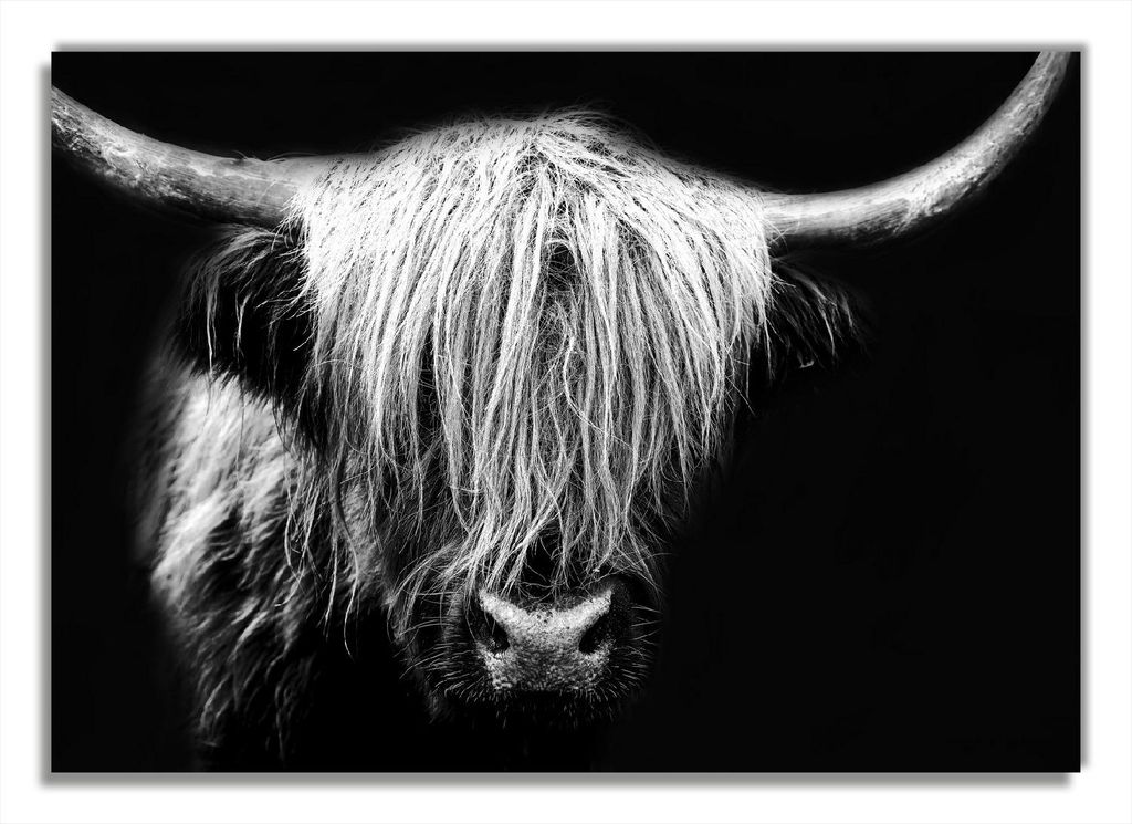 Wallario Poster - Highlander in schwarz-weiß, Kunstdruck Größe: 70 x 100 cm