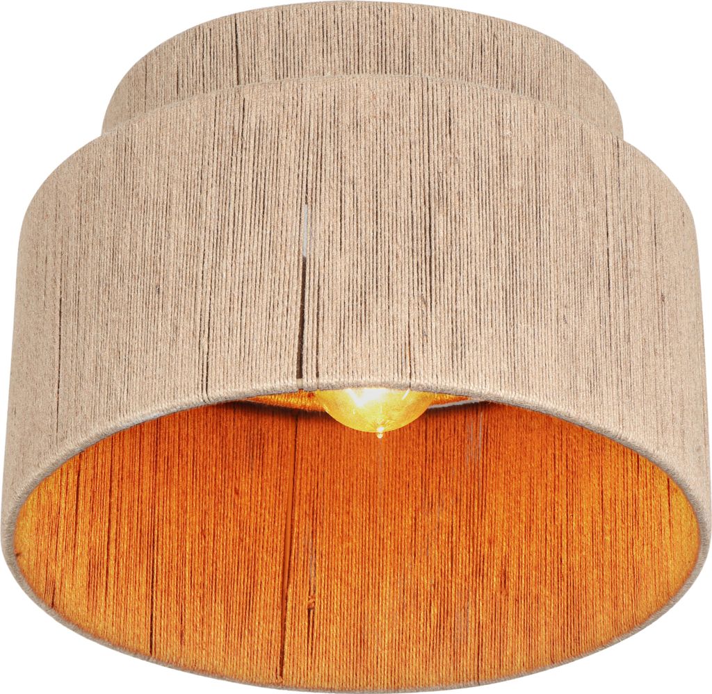 Stropní svítidlo TRIO-Leuchten SMILLA DH 30x22 cm zelené Obrázek produktu 