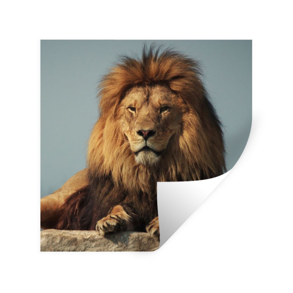 MuchoWow Wandtattoo Wandsticker Wandaufkleber Löwe - Felsen - Porträt 50x50 cm Selbstklebend und Repositionierbar - Selbstklebend - Fototapeten