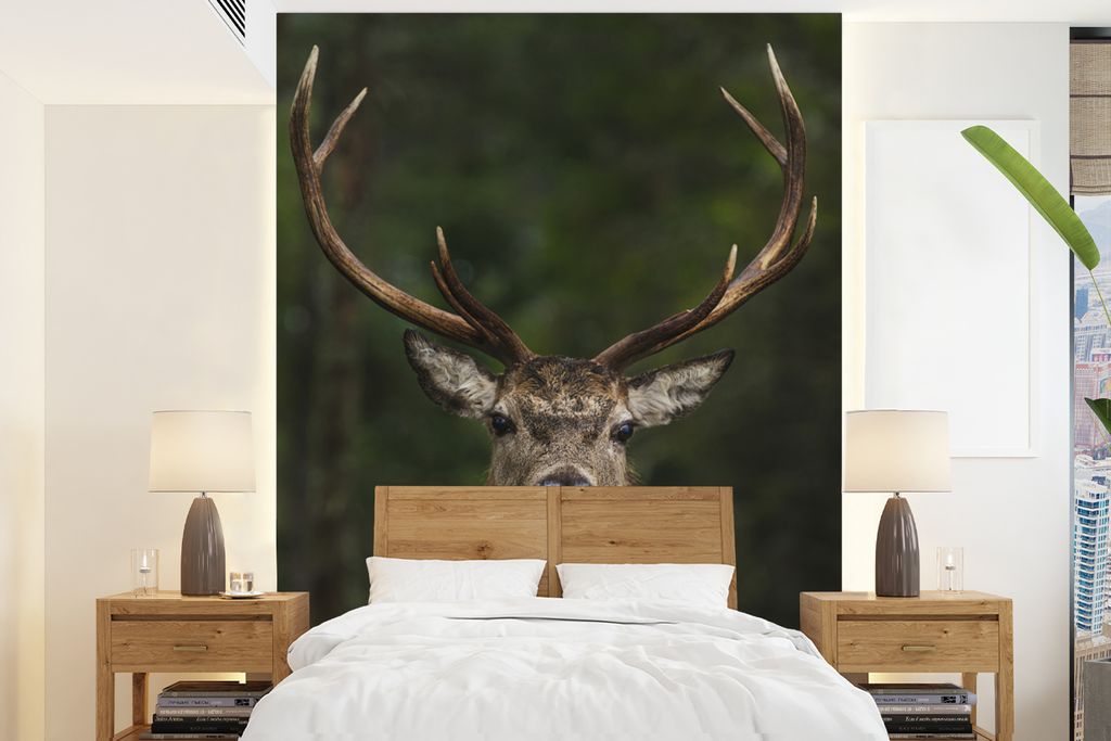 MuchoWow Fototapete für Wohnzimmer oder Schlafzimmer Wandtapete Vinyl Motivtapete Hirsche - Geweihe - Tiere - 160x220 cm - Bildschirmhintergrund