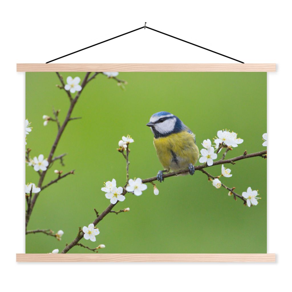 MuchoWow Textilposter Blaumeise - Zweig - Blumen - Blühende Zweige - Vogel 40x30 cm mit holzfarbenen Rahmen - Bilder