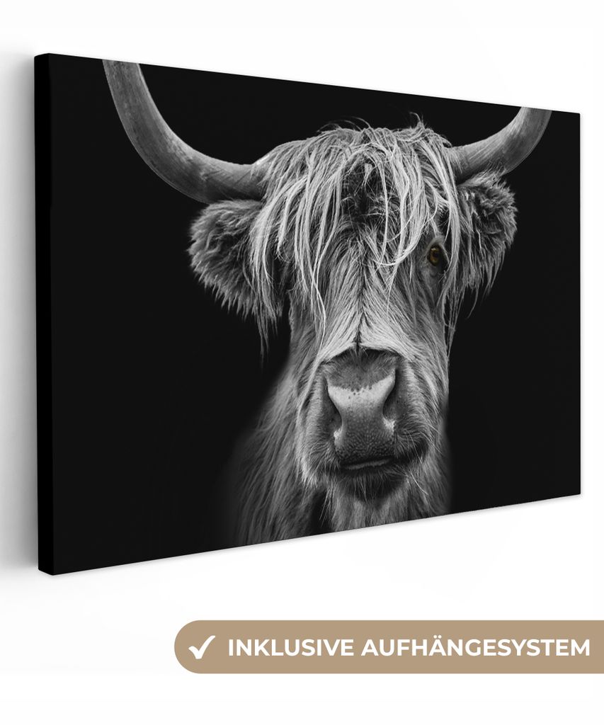MuchoWow - Leinwandbilder - Schottischer Highlander - Hörner - Schwarz - Weiß - Kuh - Wild - Tiere, Wandbild, Wanddeko Bilder Wohnzimmer, 60x40 cm