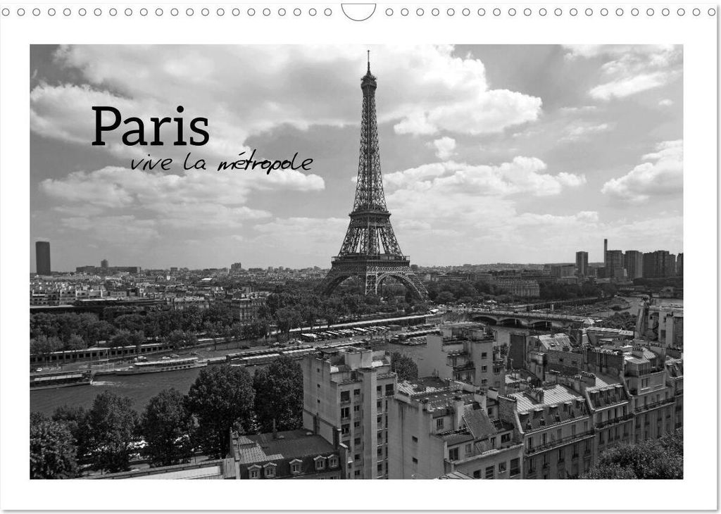 Paris vive la métropole (Wandkalender 2026 DIN A3 quer), CALVENDO Monatskalender