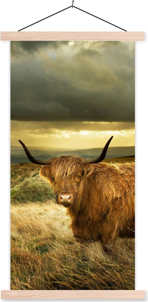 MuchoWow Textilposter Schottische Hochlandrind - Licht - Natur 60x120 cm mit holzfarbenen Rahmen - Holz