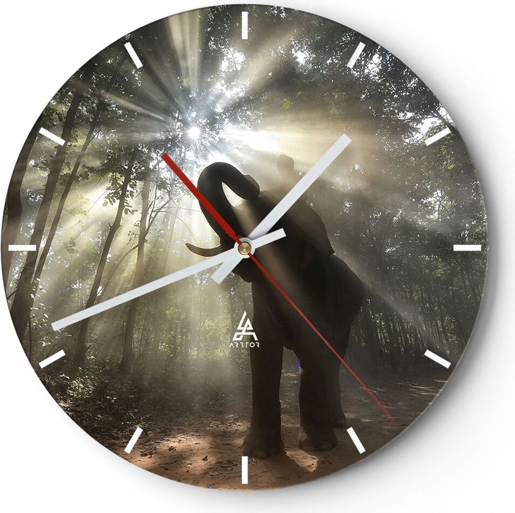 Wanduhr - Rund - Glasuhr - Elefant Dschungel - 40x40cm - Schleichendes Uhrwerk - Lautlos - zum Aufhängen bereit - Dekoration Modern - Wanddekorat...