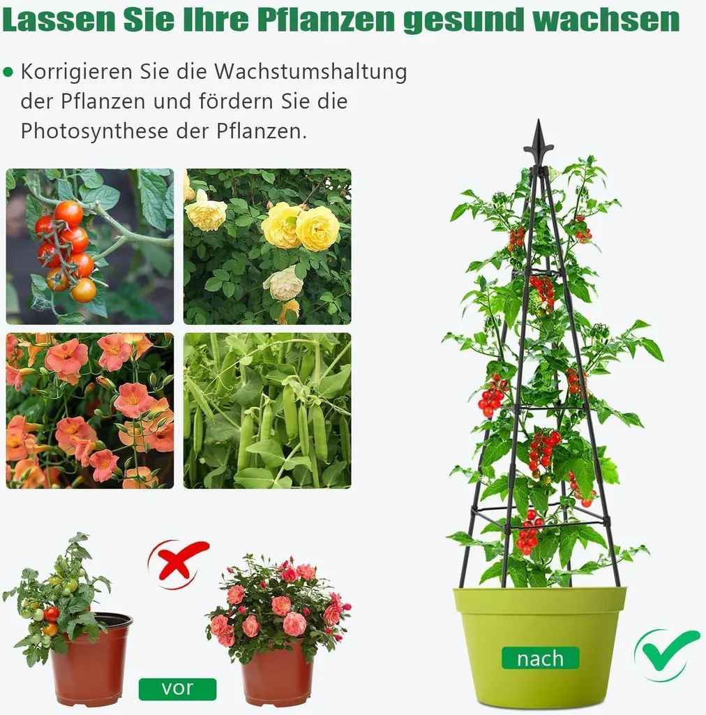 Tuteur Obélisque 120cm pour Balcon et Potager Support de Croissance x4 - 5