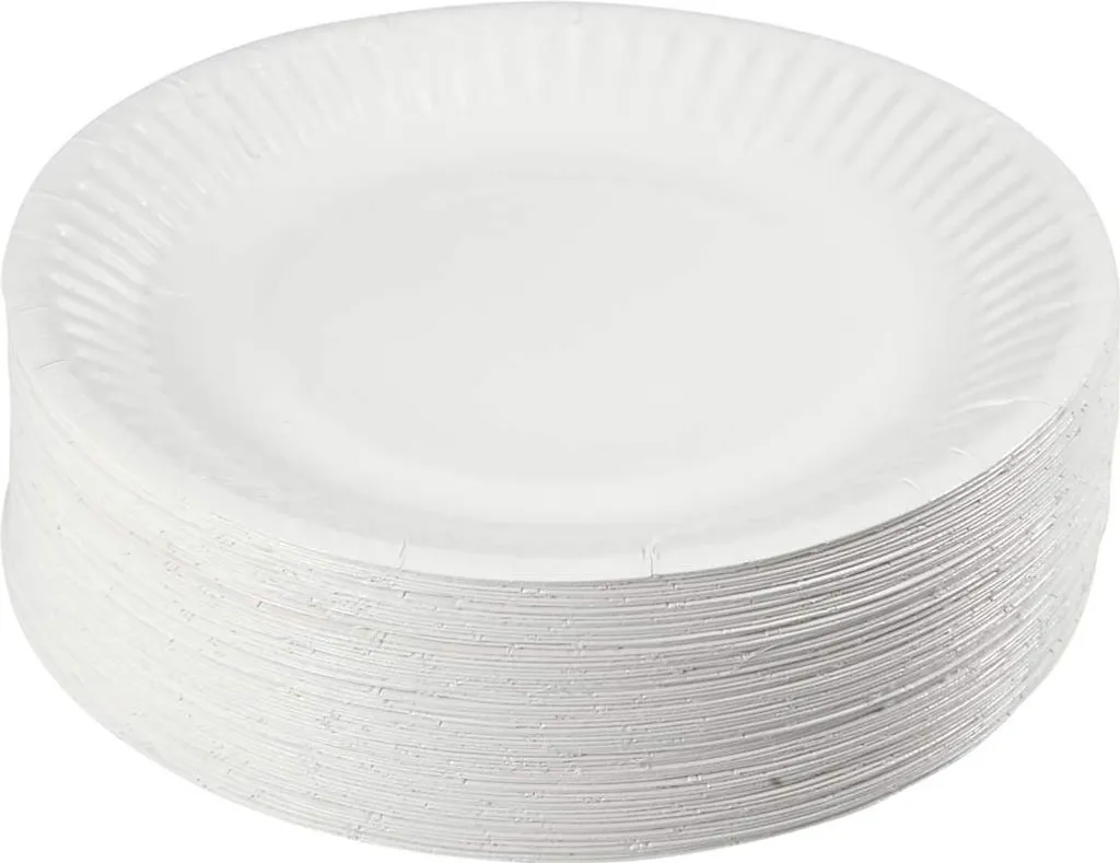 Assiette en papier 15 cm - Lot de 100 assiettes jetables biodégradables