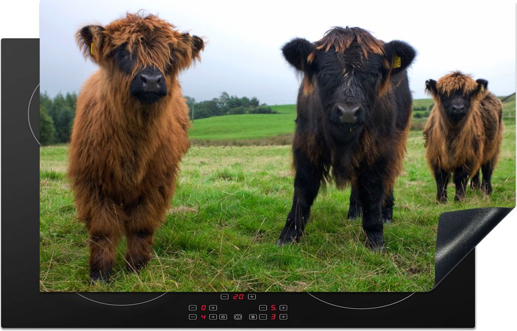 KitchenYeah Herdabdeckplatte Schottische Highlander - Kühe - Natur - Grün - Gras , 85x52cm, Küche Deko, Glaskeramikfeld Herdabdeckung, Abdeckp...