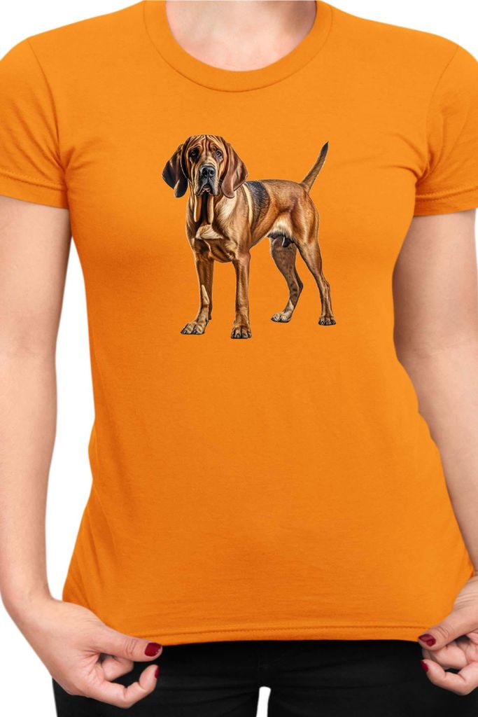Damen T-Shirt Dogs Breeds Bloodhound Dog Breed 006, Lady S / Orange
