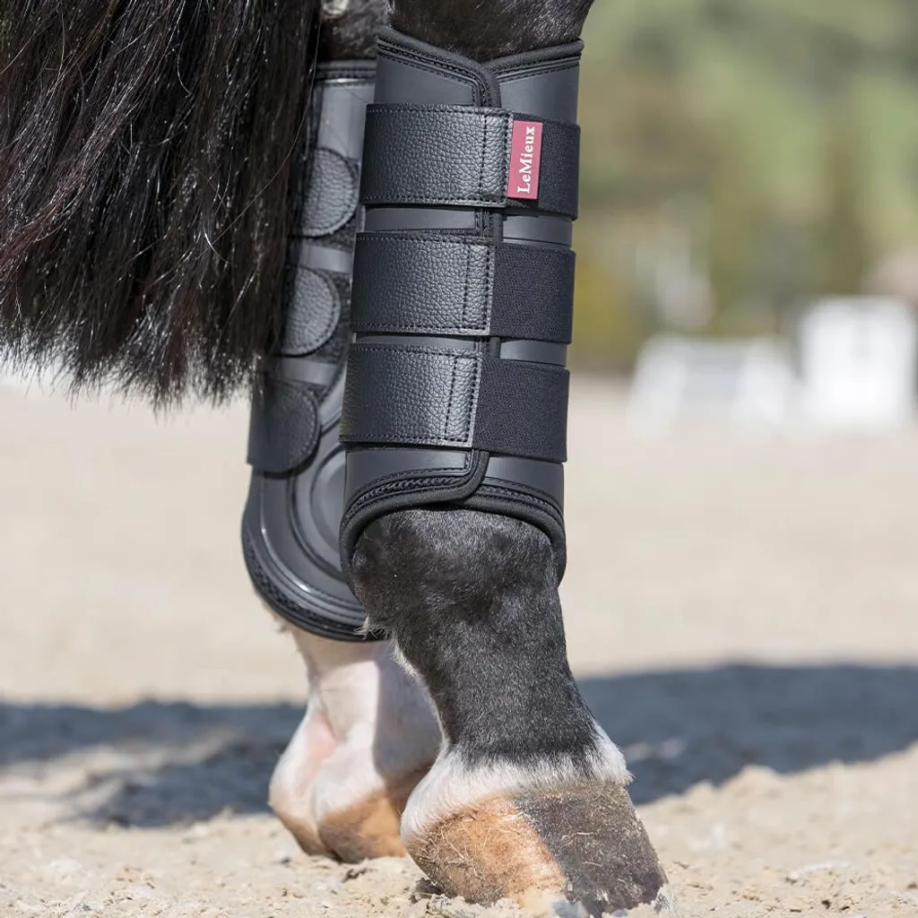 Stinchiere LeMieux ProShell Nero Taglia M - Guida alla Protezione