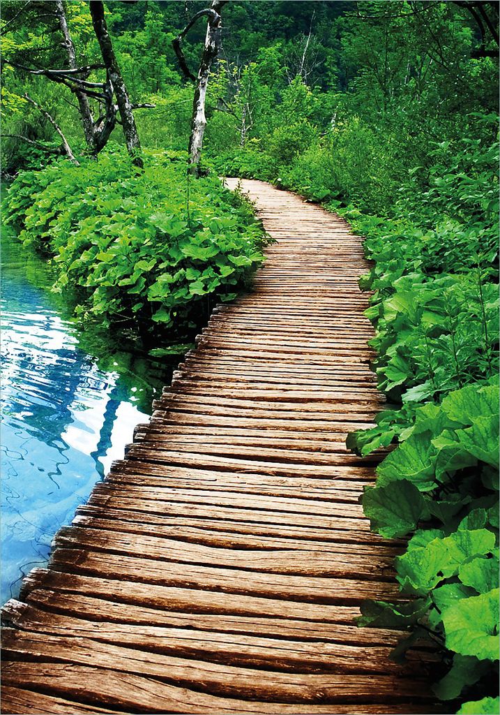Wallario selbstklebendes Poster - Holzweg im Wald, Größe: Produktbild 