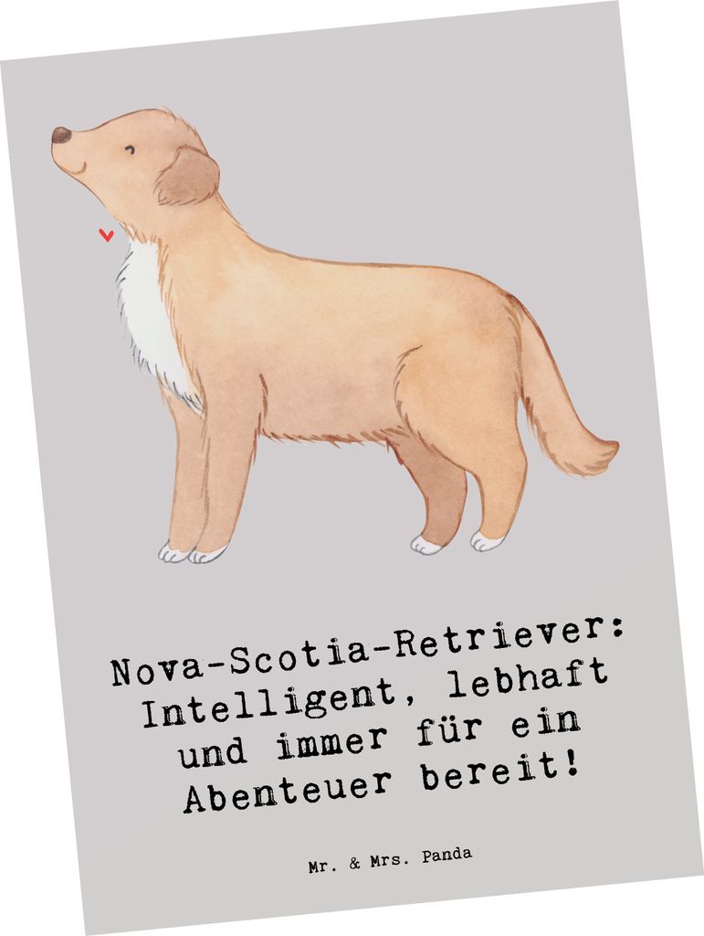 Mr. & Mrs. Panda bildkarte Nova Scotia Duck - Grau Pastell - Geschenk, Nova-Scotia-Retriever, Hunderasse, Grußkarte, Hunderassen, Kunstkarten, Out...