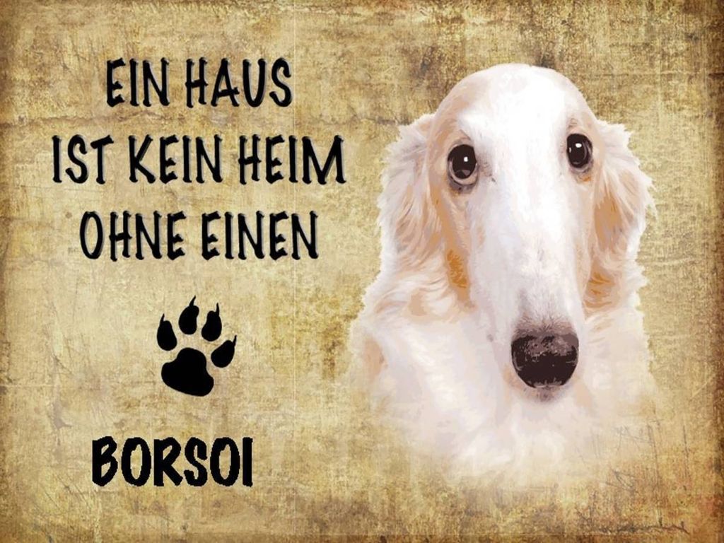 vianmo Holzschild 30x40 cm Borsoi Hund ohne kein Heim