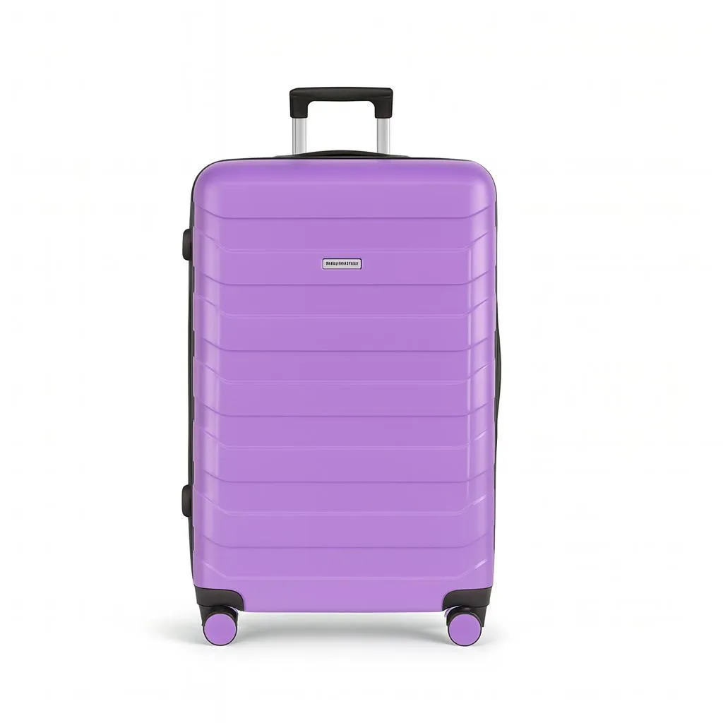OMNA Trolley Cabina S 40L Lavanda - Valigia Professionale Leggera