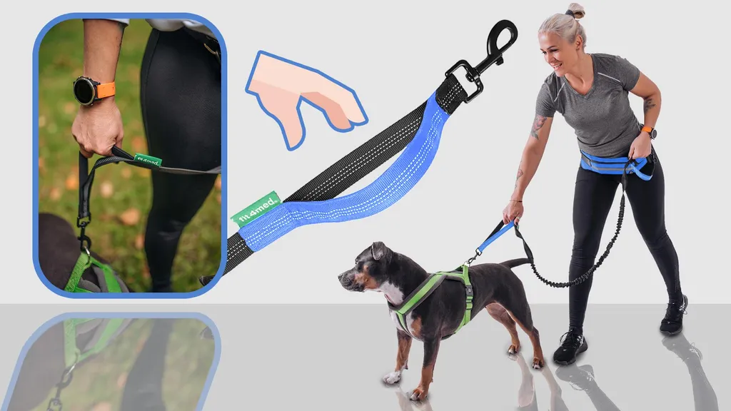 Fini les Secousses : Ceinture Laisse Mains Libres pour Chien Bleu