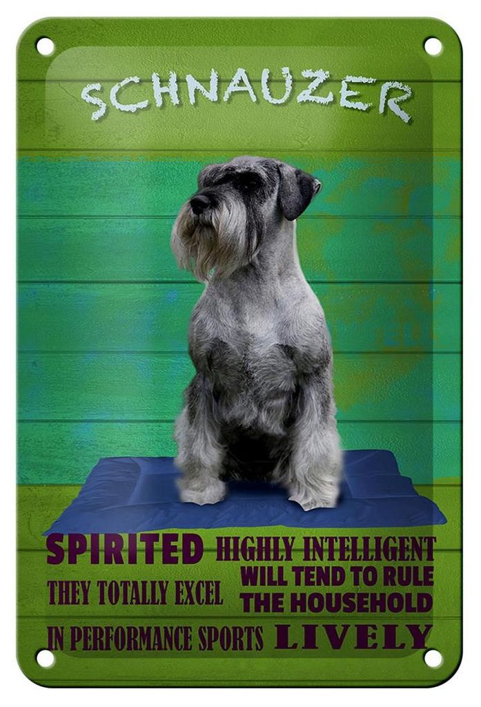 Blechschild Spruch 12x18cm Schnauzer Hund highly inelligent
