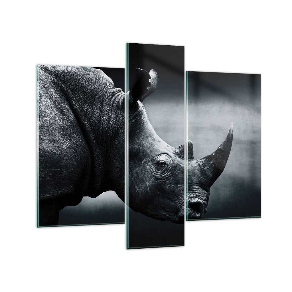 Bilder auf glas - 3 Teile - Nashorn Schwarzweiß Porträt - 95x80cm - Glasbilder - Wandbilder - Bilder - zum Aufhängen bereit - Wanddekoration aus...