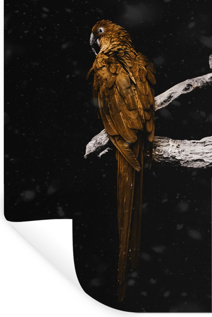 MuchoWow Wandtattoo Wandsticker Wandaufkleber Papagei - Vogel - Gold 60x90 cm Selbstklebend und Repositionierbar - Sticker - Dekorfolie