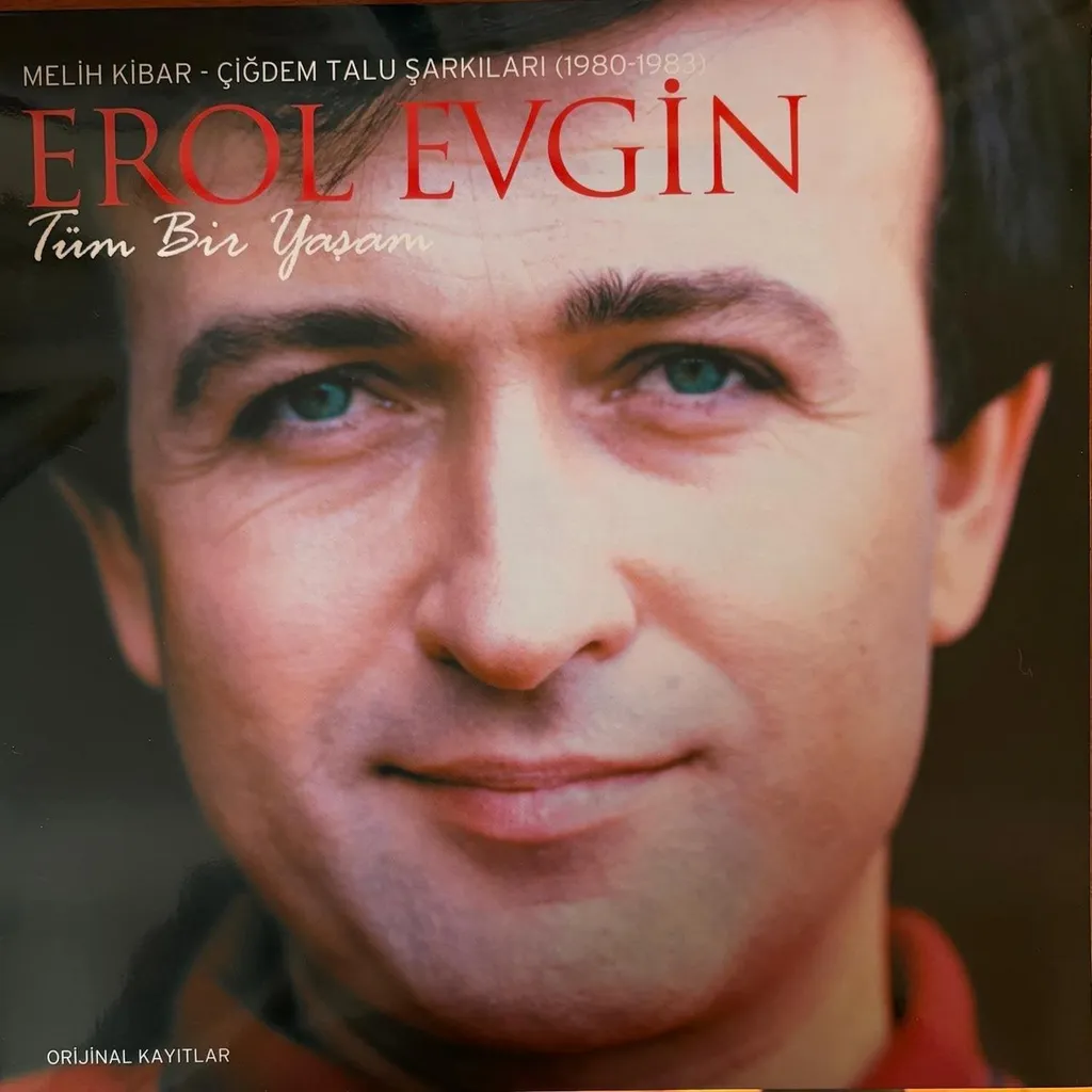 Vinyle Toute une vie 1980-83 par Erol Evgin - Album Rare Pressage Original