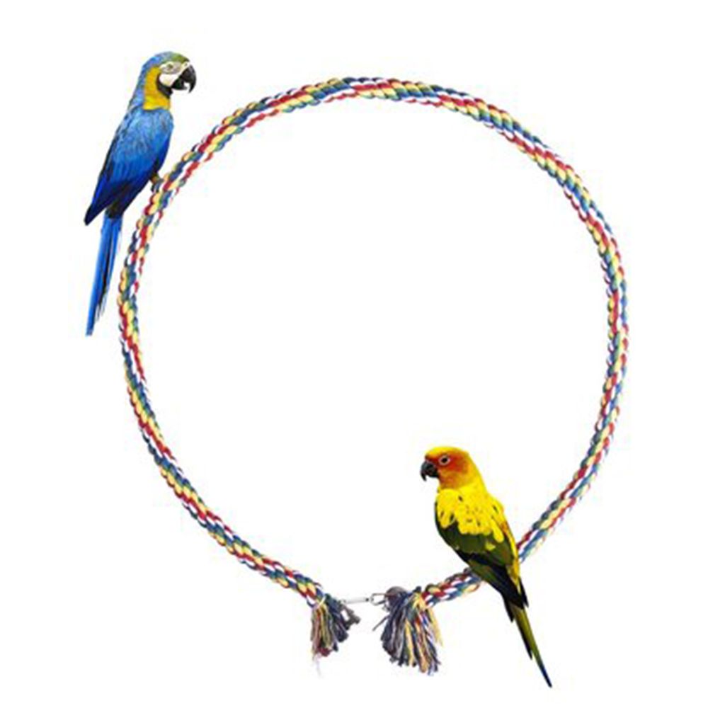 Qianly Vogel Spiral Seil Sitzstange 150cm - Kletterseil Für Wellensittiche & Papageien Blau