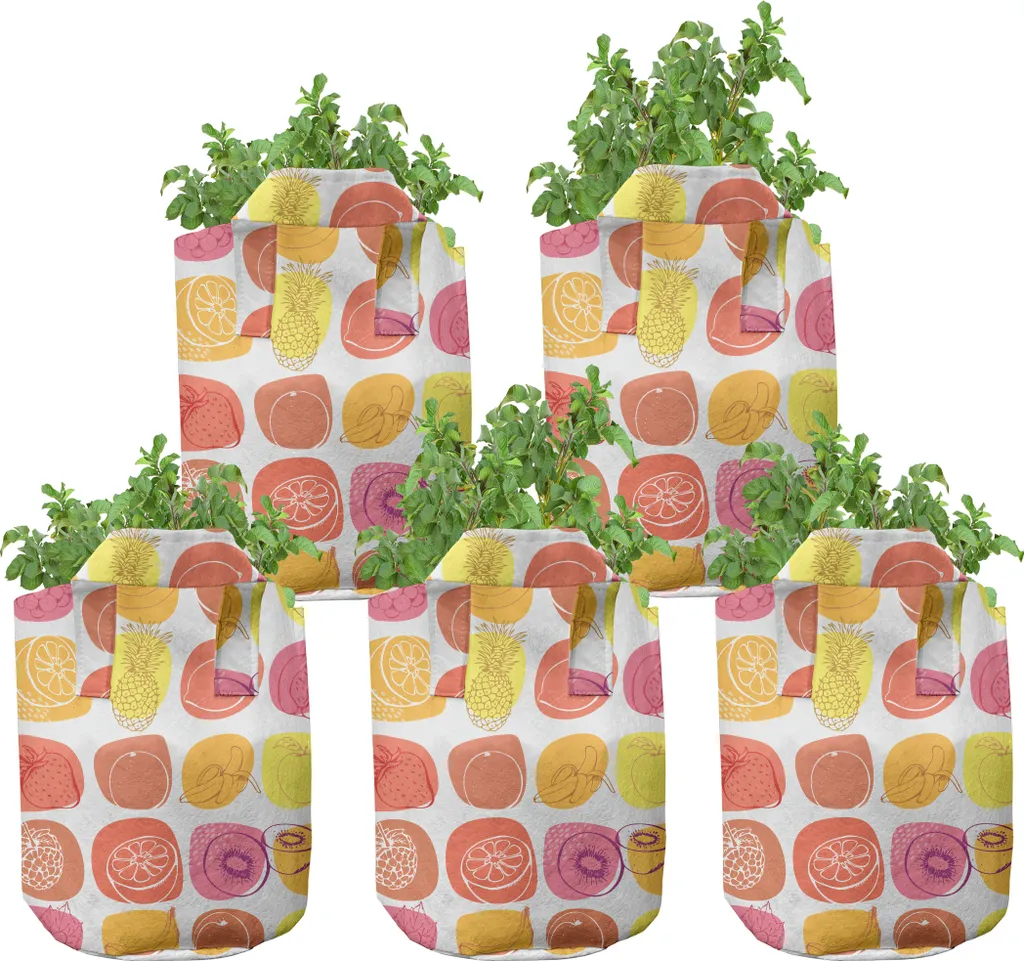 Kit Jardinage Balcon 5 Pots de Culture pour Fruits et Légumes 7 Gallons