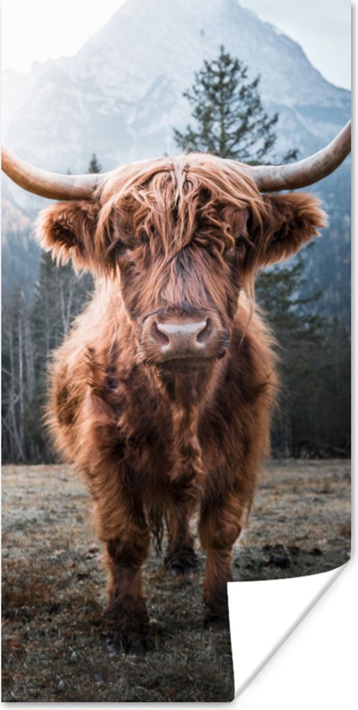 MuchoWow Poster Schottischer Highlander - Berg - Tier 80x160 cm - Kinderzimmer