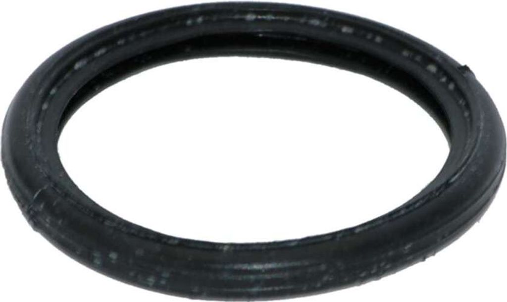 A single black o-ring is shown against a white background.