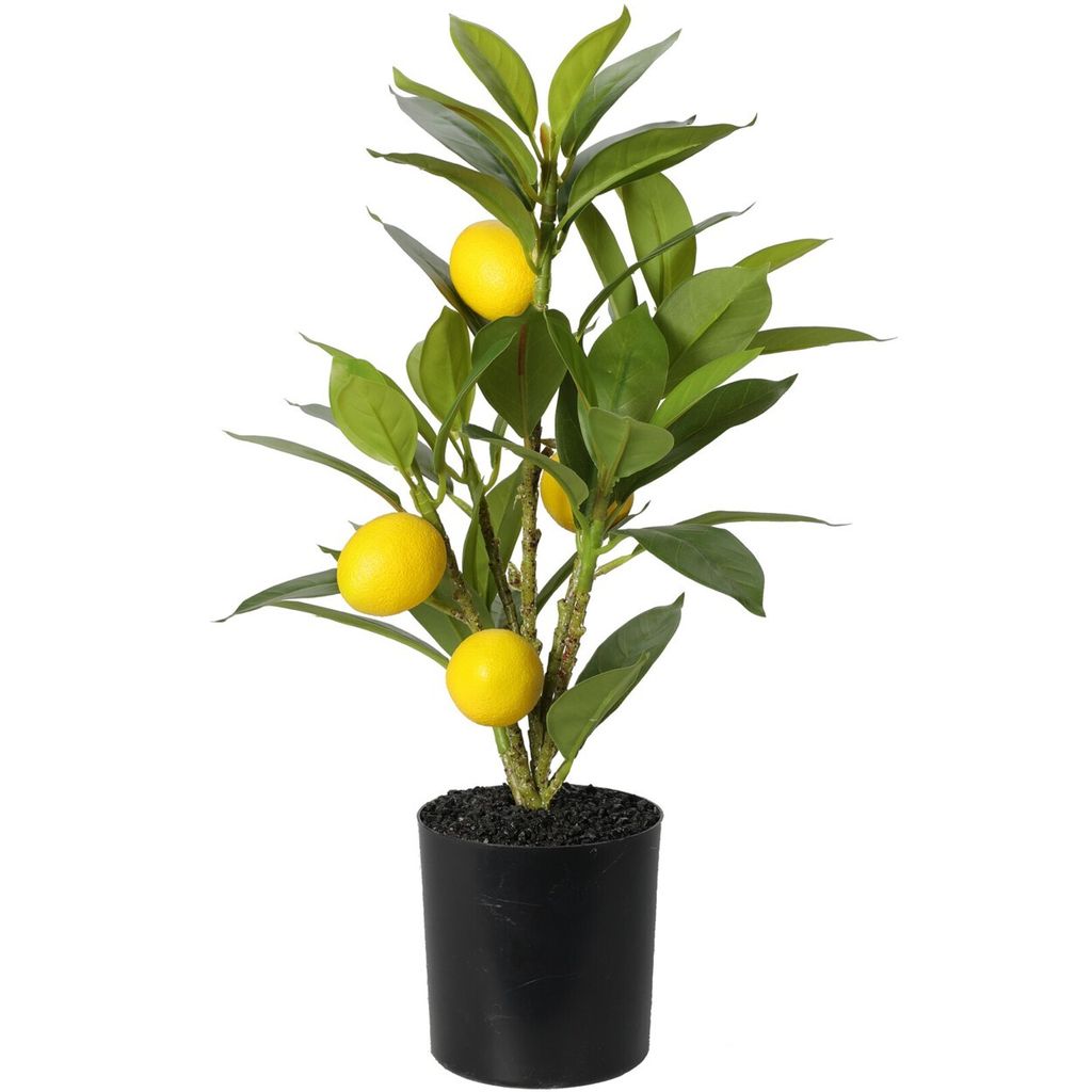 Künstliche Zitronenpflanze, 43 cm, NB1720400 Produktbild 