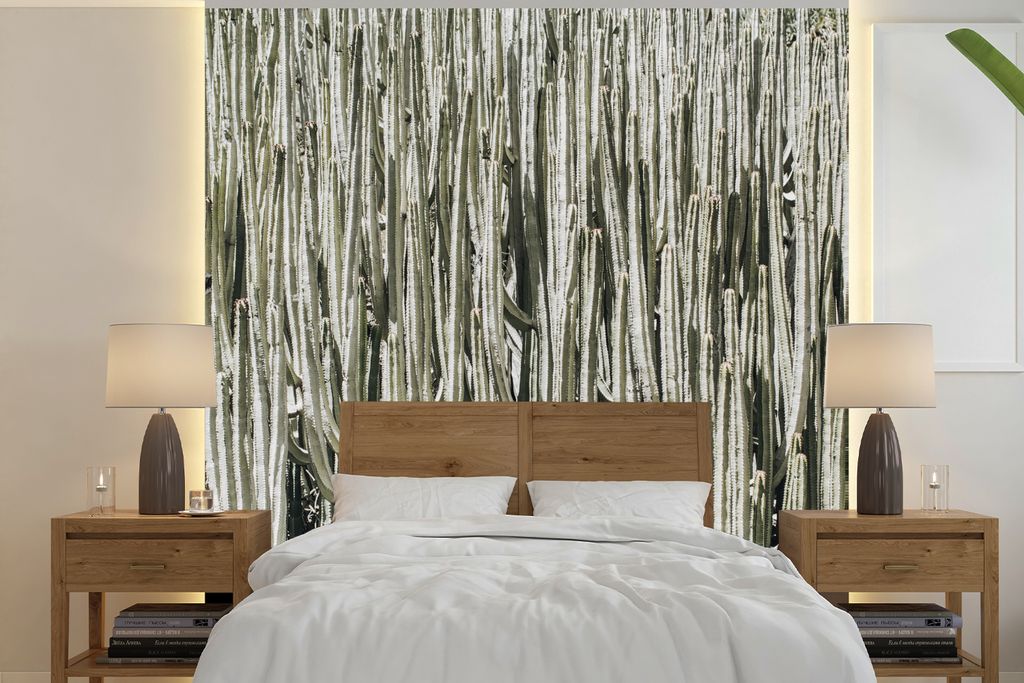 MuchoWow Fototapete für Wohnzimmer oder Schlafzimmer Wandtapete Vinyl Motivtapete Kaktus - Natur - Sukkulenten - 300x300 cm - Wanddekoration