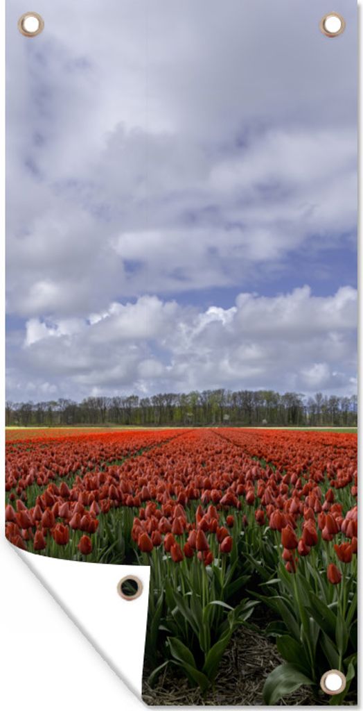 MuchoWow 80x160 cm Outdoor-Poster Gartendeko Sichtschutz Garten Poster für den Garten Rote Tulpen auf dem Keukenhof in Südholland