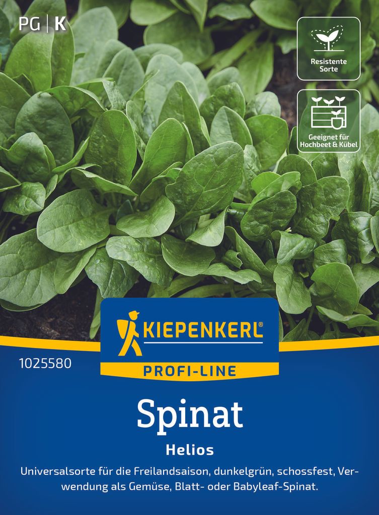 Kiepenkerl Spinatsamen Helios F1 Spinacia oleracea 10-12 Produktbild 