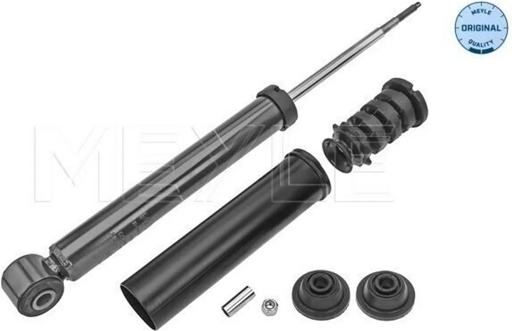 Amortisseur de Suspension Arrière pour Renault Twingo 3 et Smart 453