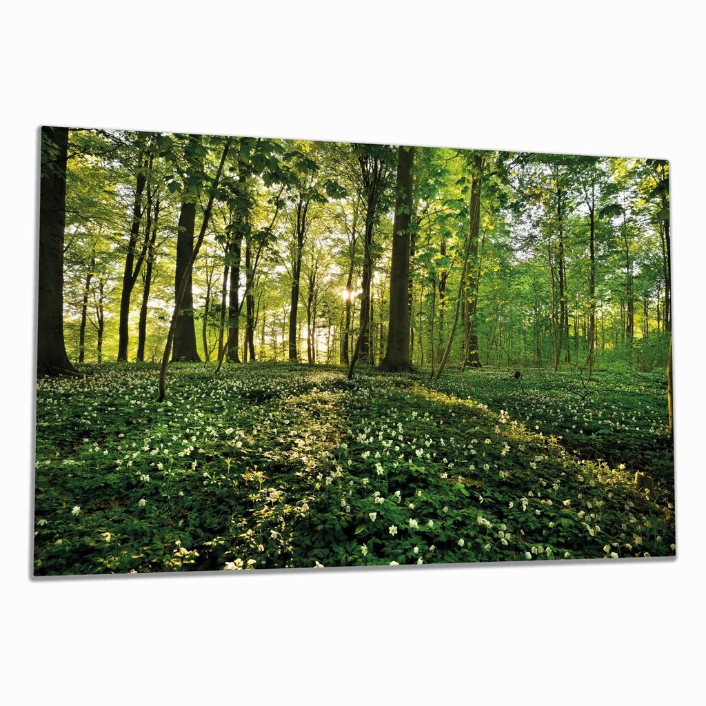 Wallario Herdabdeckplatte aus Glas, Größe 80 x 52 cm 1-teilig, Motiv Waldanemonen und Sonnenstrahlen im Wald