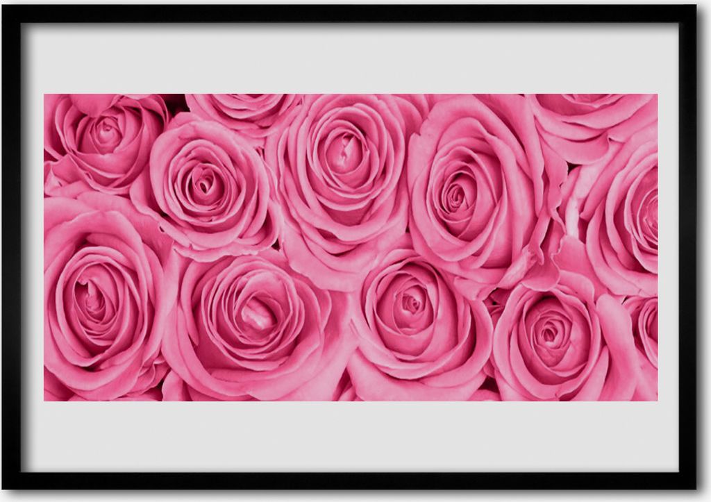 Bild 70x50 MDF-Rahmen Wandkunst Rosen Blumen Pflanzen