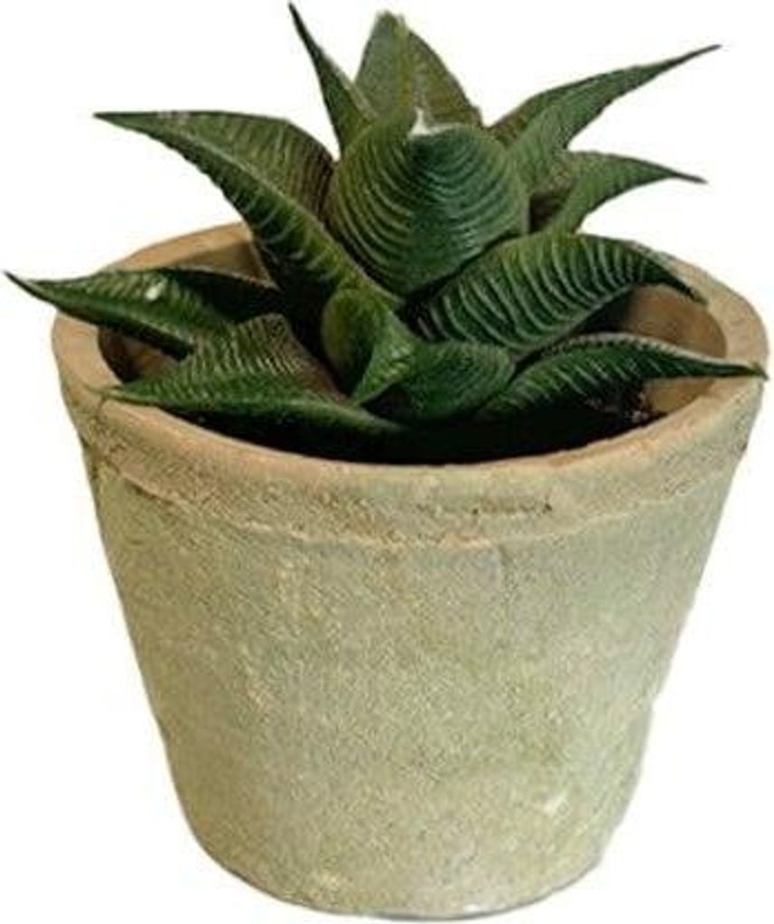 artplants.de Kunstsukkulente Haworthia limifolia GLOFER im Terracottatopf, dunkelgrün, 13cm - Künstliche Sukkulente