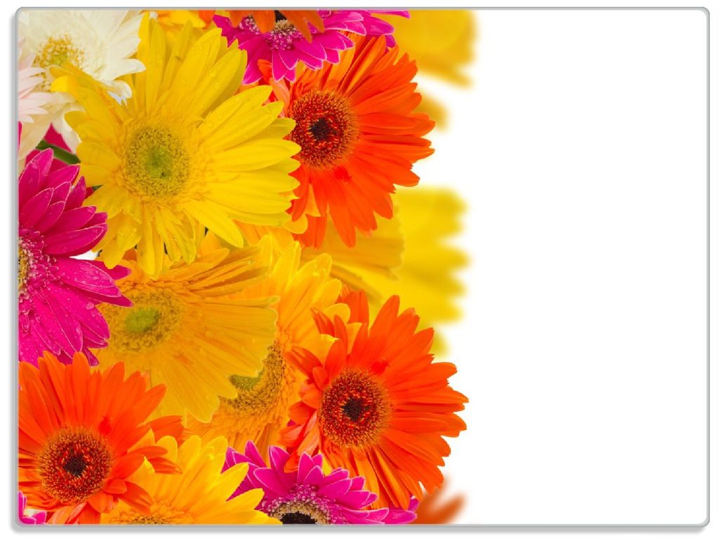 Wallario Glasunterlage, Schneidebrett aus Glas, Größe 30 x 40 cm, Motiv Bunte Gerberas - pinke, gelbe, rote und weiße Blüten