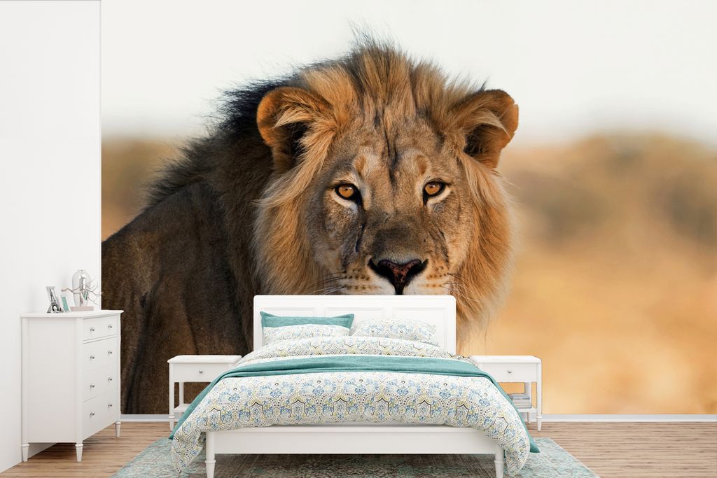 MuchoWow Fototapete für Wohnzimmer oder Schlafzimmer Wandtapete Vinyl Motivtapete Löwen - Südafrika - Wild - 420x280 cm - Zimmer für Kinder