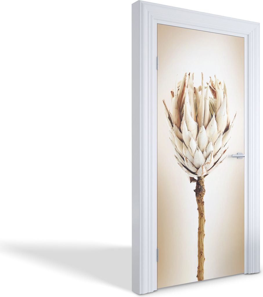 Selbstklebende Türfolien Kreativ Türtapeten Wandsticker - Trockene Blume - 95 x 205 cm