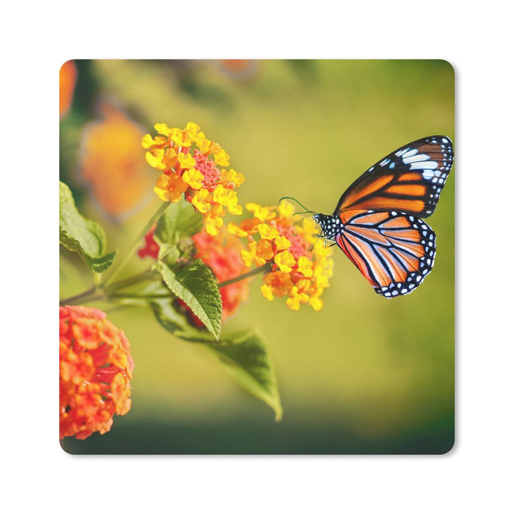 MuchoWow Mauspad Mousepad Schmetterling - Insekten - Blumen - Gelb 20x20 cm - Mousepads - Maus Mat - Pad - Mausunterlage - Desk Mat - Bureauartikeln