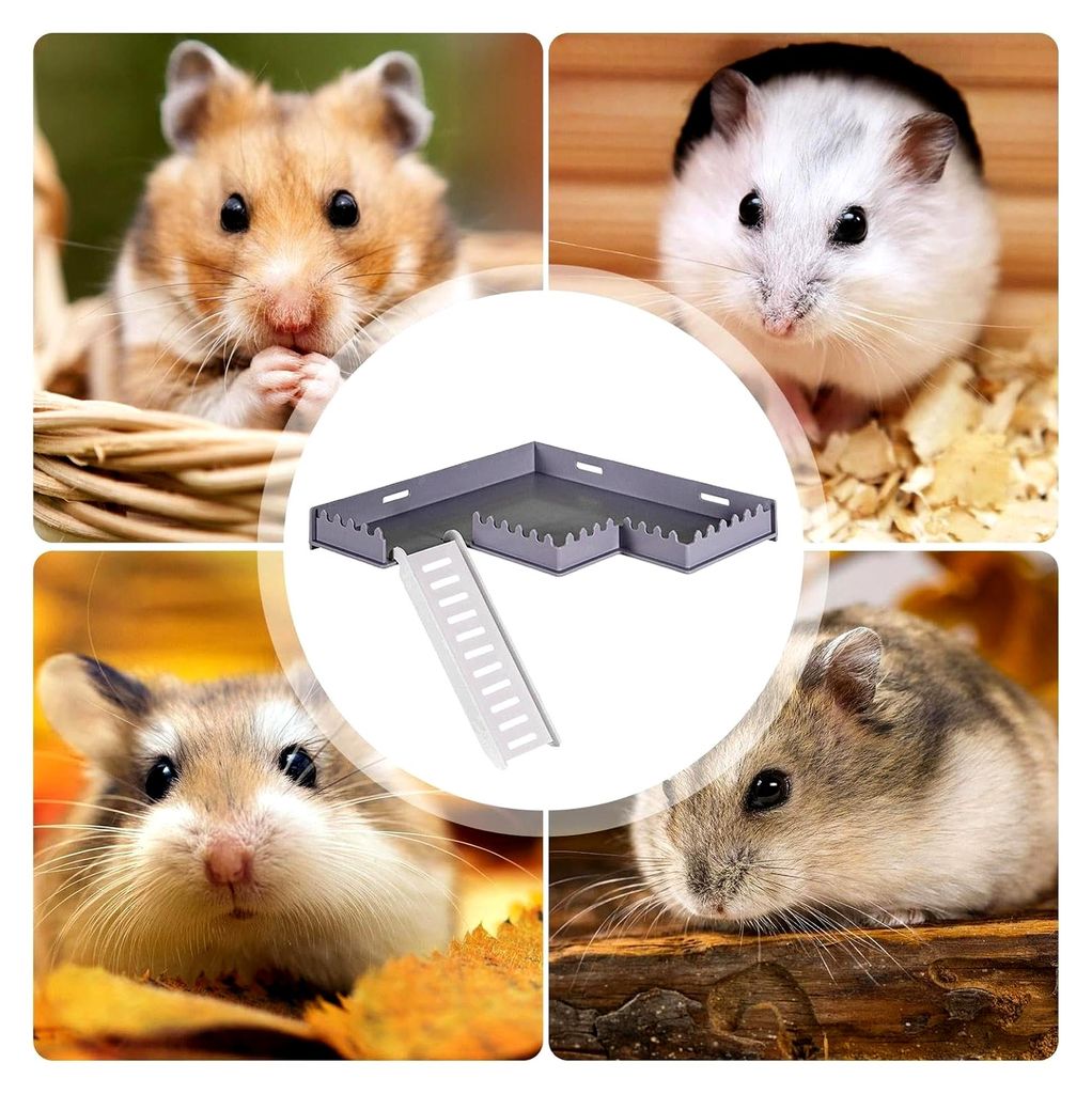 Hamsterplattform mit Leiter - PVC-Spielstudio für Klettertiere