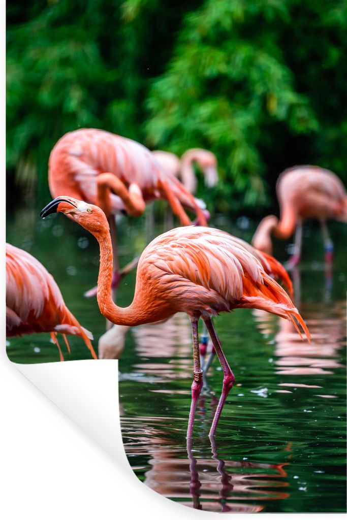 MuchoWow Wandtattoo Wandsticker Wandaufkleber Flamingo - Tropisch - Vogel - Wasser - Rosa 60x90 cm Selbstklebend und Repositionierbar - Sticker -...