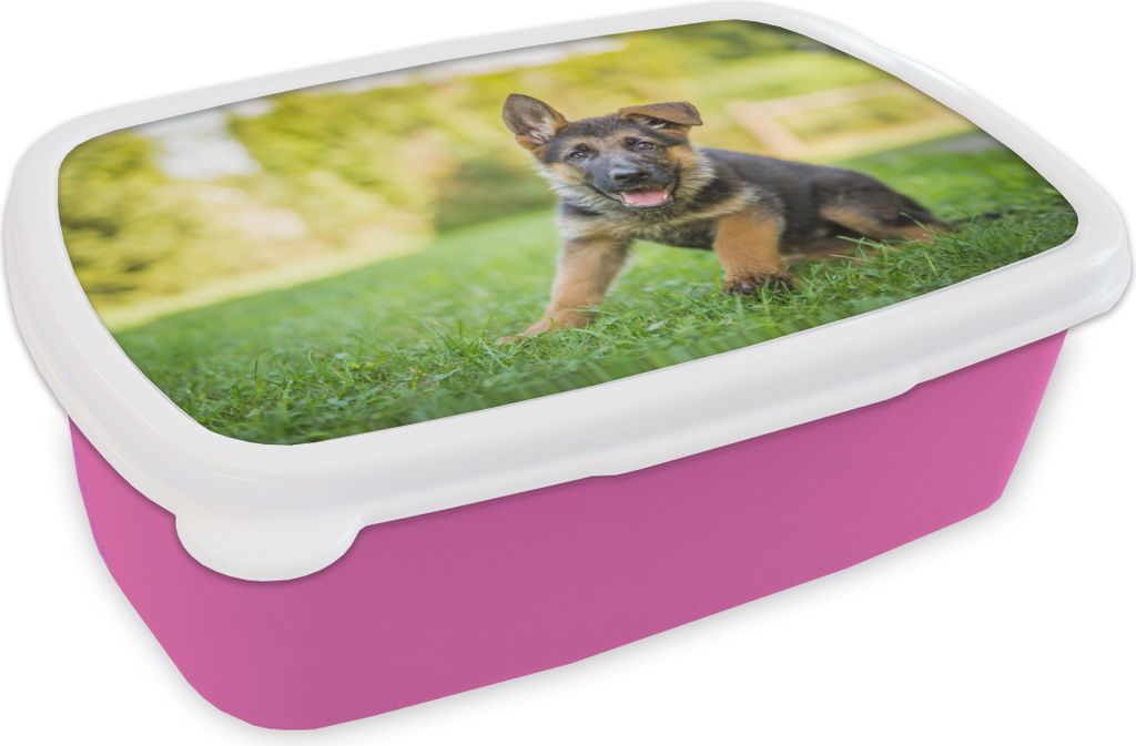 KitchenYeah Lunchbox Brotzeit Brotdose 17x11 cm Welpe sitzt im Gras Kinder Brotzeitdose - Lunchpaket - Brotkasten - Sandwich Box