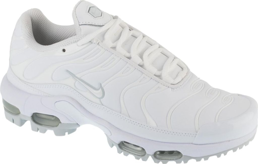 Schuhe Nike Air Max Plus G FZ4150100