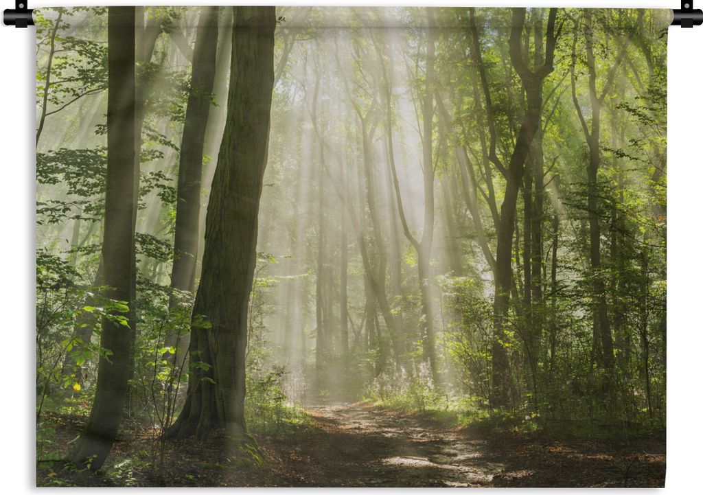 MuchoWow Wandteppich Wandbehang Wald - Licht - Natur - Landschaft 150x112.50 cm Tapisserie Dekoration Wandtuch - Wanddecke - Wandteppiche