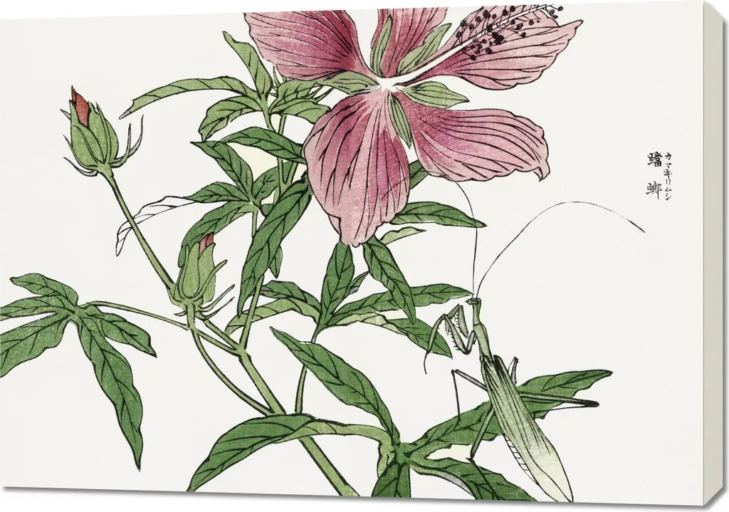 Quadro su Tela 100x70 Fiore Giapponese Morimoto Toko Arredo