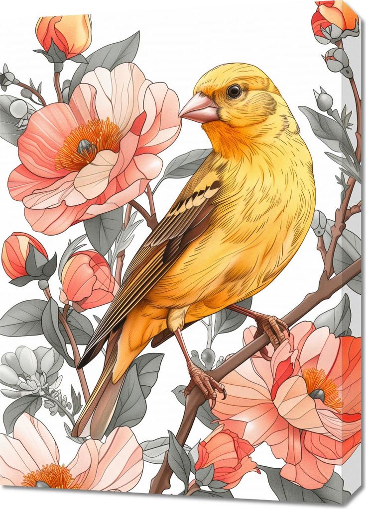 Bild 50x70cm Frühlingssänger